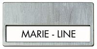 Garcia de Pou 25 Eenheid Plastic Badge in Doos, 6.7 x 4 cm