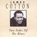 James I360 / Innovation / Innovation 360 / MVD Audio Two Sides Of The Blues