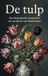 De tulp: Van botanische curiositeit tot symbool van Nederland