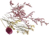 RAYHER mini boeketje gedroogde bloemen, echte bloemen