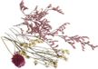 RAYHER mini boeketje gedroogde bloemen, echte bloemen