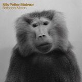 Madrigals Baboon Moon - Madrigals