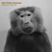 Madrigals Baboon Moon - Madrigals