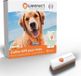 Weenect GPS-tracker pour chiens, Weenect XS, localisation en temps réel, distance illimitée, version blanche, modèle 2023