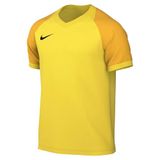 Nike Dri-FIT Football Shirt