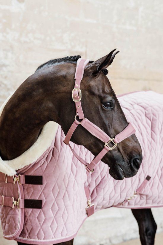 Kentucky Horsewear Showdeken Velvet - Old pink - 155 - 600D - 160g