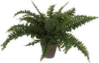 Mica Decorations Kunstplant Boston Varen Groen in Pot | 4 Stuks