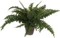 Mica Decorations Kunstplant Boston Varen Groen in Pot | 4 Stuks