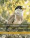 Bird Cross Stitch Pattern Collection: Black-Headed Lapwing