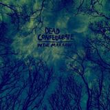In Dead Confederate In the Marrow LP