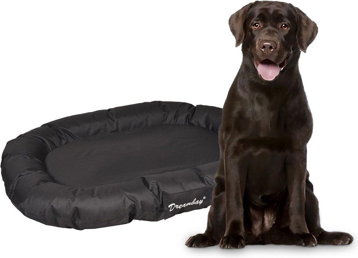 FLAMINGO Hondenkussen Blackbay - Zwart - 140 x 105 x 17 cm