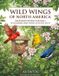Wild Wings of North America: Backyard Edition Volume 2