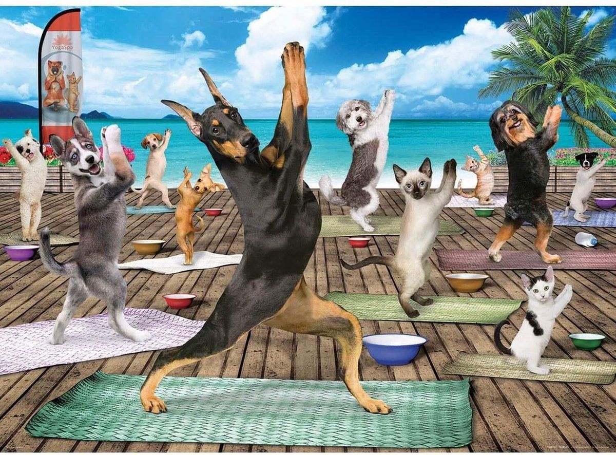 Eurographics Yoga Spa Puzzel - 500 stukjes