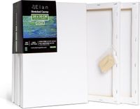 Elan Schildersdoeken 20x30 CM, 6 Stuks Canvasdoeken 20x30 CM, 100% Katoenen Canvas voor Schilderen, Stretched Canvas, Painting Canvas 20x30 CM, Pre Primed Canvas, Schilderdoek 20x30 CM