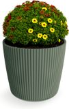 Prosperplast Plantenpot/bloempot Buckingham - kunststof - dennen groen - 34 x 30 cm