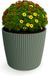Prosperplast Plantenpot/bloempot Buckingham - kunststof - dennen groen - 34 x 30 cm