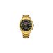 Citizen CA7022-87E Horloge - Staal - Goudkleurig - Ø 43 mm