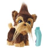 FurReal Chien Shawn Marron