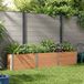 Maison Exclusive - Jardinière surélevée marron, 300 x 50 x 54 cm, bois composite (WPC) et aluminium