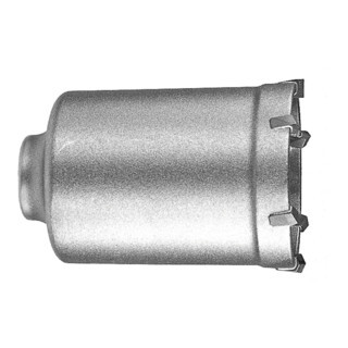DEWALT DEWALT hamerboor SDS-max 125x107 mm DT6766-QZ Aantal:1