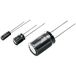 Panasonic ECA2AM100 Condensateur électrolytique radial à fil 2 mm 10 µF 100 V 20 % (Ø x l) 5 mm x 11 mm 1 pièce(s)