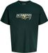 JACK & JONES PLUS - JJJADE TEE SS CREW NECK BF PLS Heren T-shirt