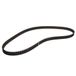 CONTITECH CT749 tandriem