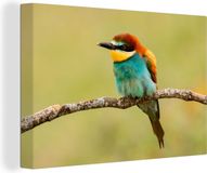 OneMillionCanvasses Canvas Schilderij Vogel Bijeneter - 150x100cm - Wanddecoratie