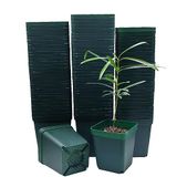 Vierkante Plastic Kwekerij Succlent Bloem Kweekpotten 100 stks/pak (Groen, 8cm/3.14")