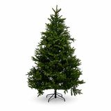 Everlands Nordmann Kunstkerstboom LED - 210 cm