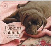Legacy Puppies Kalender 2027 Wandkalender Dieren Kunst
