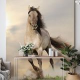 Papier peint panoramique cheval 390 cm x 558 cm