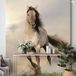 Papier peint panoramique cheval 390 cm x 558 cm