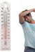 Merkloos / Sans marque Wan GmbH Temperatuurmonitor - Weermeter Kassen - Temperatuur Bewaken - Nauwkeurig Betrouwbaar - 21.3 Centimeter