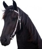 QHP Voorbreng Hoofdstel - White - Cob