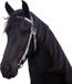 QHP Voorbreng Hoofdstel - White - Cob