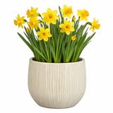 Mica Decorations Plantenpot Pablo Keramiek Wit Glans Ribbels D24 x H22 cm