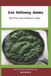 Iron Libri GmbH Iron Deficiency Anemia Meal Plan and wellness Guide