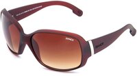 Sinner Amos X Zonnebril Dames - Bruin
