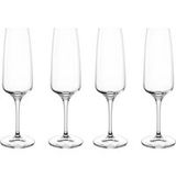 LEONARDO TAVOLINO Champagneglazen, 4-delig