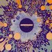 Suburban Monomyth Further LP