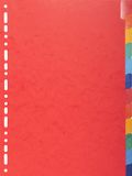 Exacompta 15x Tabbladen in glanskarton 225g met geplastificeerde gekleurde tabs - 12 tabs - A4 - Geassorteerd - 2212E
