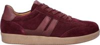 Gabor 6011.01.002 Lage Sneakers Aubergine Suède Dames - Aubergine - 39