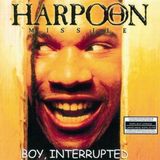 Proper S&D Consignment Harpoon Missile Boy Interrupted