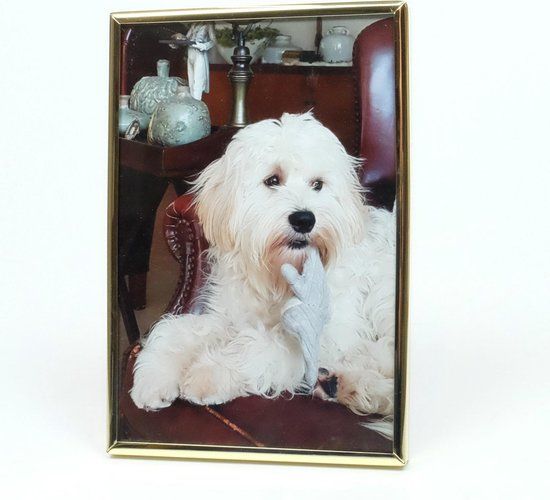 AL Fotolijst Goud 5 x 8 cm - Staand - Verzilverd - Rechthoek