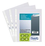 Favorit 100460022 beschermt documenten transparant