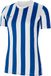 Nike Dames Short Sleeve Top W Nk Df Strp Dvsn Iv Jsy Ss, Bianco/Royal Blu/Nero, CW3816-102, L
