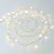 Lichtketting draadtak met 100 LED 221 cm