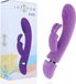 INTENSE FUN Intense Susy Vibrator Paars Luxe