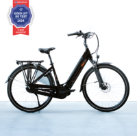 FREEBIKE Freebike Harlem N8 D M champagne / GOUD / Dames /  / 2020